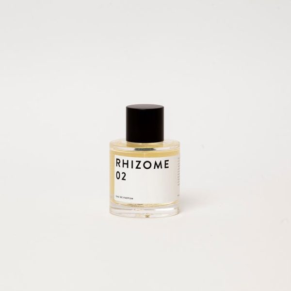 Rhizome