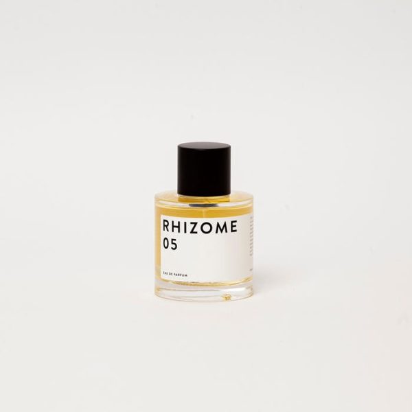 Rhizome